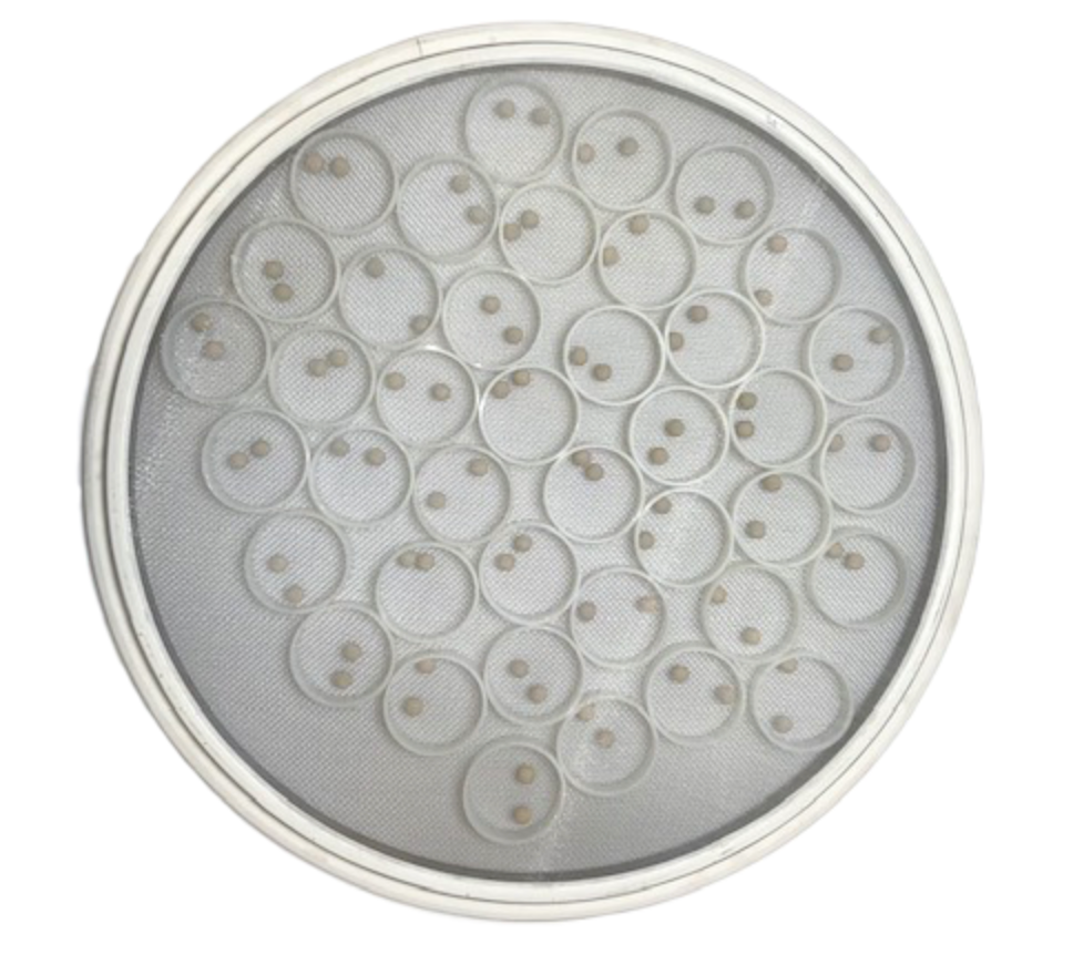 18 inch Self-Cleaning Sandwich Screen